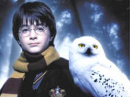 Harry and Hedwig