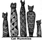 Cat Mummies