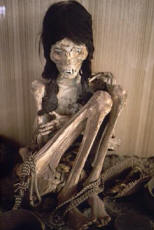 Chinchorro Mummies