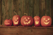 Five Little Pumpkins Sitting on a Gate