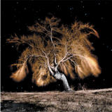 The Night Wind by Eugene Field