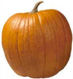 The Perfect Pumpkin!