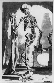 Skeleton at Halloween