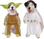 Yoda and Princess Leia