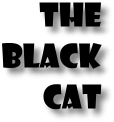 Halloween Black cat