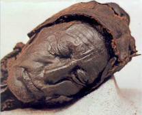 Bog Mummies - Tollund Man